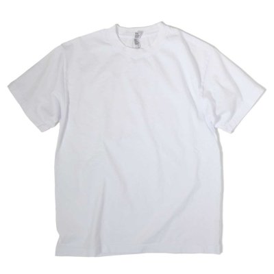 画像1: 6.5oz Garment Dye S/S T-Shirts White