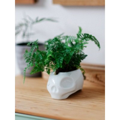 画像10: New School Skull "ARITAYAKI" Plant Pot