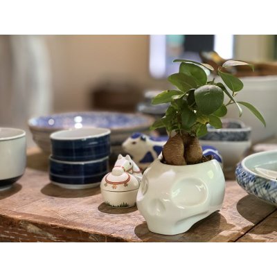 画像9: New School Skull "ARITAYAKI" Plant Pot