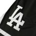 画像4: Los Angeles Dodgers Mesh Shorts  (4)