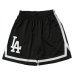 画像1: Los Angeles Dodgers Mesh Shorts  (1)