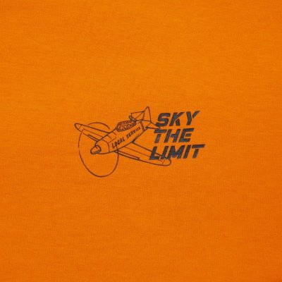 画像2: Sky Delivery LS Tee Orange