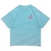 画像1: PIN-UP GIRL Tee [XTR ltd] Turquoise (1)