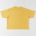 画像3: x Fruit of the Loom / FRUITMENTee Yellow (3)