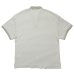 画像4: WAFFLE POLO SHIRT Natural