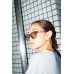 画像14: Sun Glasses