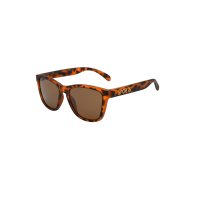 【Frog'svision】Brown Tortoise