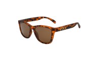 【Frog'svision】Brown Tortoise