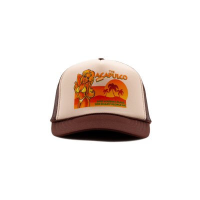 画像1: Wet Dream Trucker Cap Brown