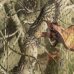 画像6: DIGSPORTS Gym Sack Real Tree Camo