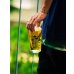 画像3: EXPRESS Beer Glass