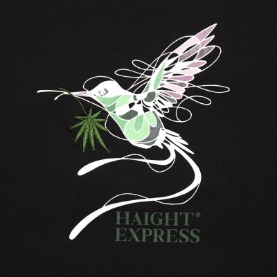 画像2: EXPRESS Tee Black