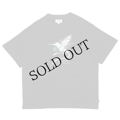 画像1: EXPRESS Tee Black