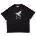 画像1: EXPRESS Tee Black (1)