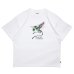 画像1: EXPRESS Tee White (1)