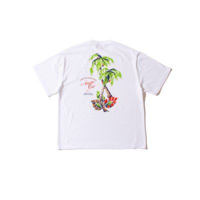 画像3: Palm Trees Tee Faded White