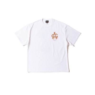 画像1: Palm Trees Tee Faded White