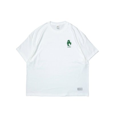 画像1: HELICAL Tee White