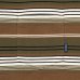 画像5:  French Terry Striped Tee Brown