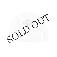 Arch Logo Crewneck Swearshirt Silver Grey