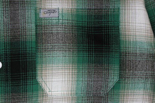 画像4: Ombre Check L/S Shirts Green/White (4)