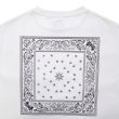 画像5: x YARZ / PAISLEY POCKET Tee White (5)