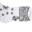 画像4: x YARZ /PAISLEY SOCKS White (4)