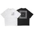 画像7: x YARZ / PAISLEY POCKET Tee White (7)