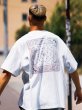 画像9: x YARZ / PAISLEY POCKET Tee White (9)