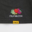 画像2: x Fruit of the Loom / FRUITMENTee C.Gray (2)