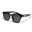 画像4: Sun Glasses (4)