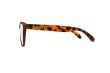 画像5: 【Frog'svision】Brown Tortoise (5)
