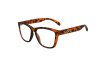 画像4: 【Frog'svision】Brown Tortoise (4)