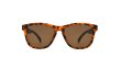 画像3: 【Frog'svision】Brown Tortoise (3)