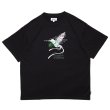 画像1: EXPRESS Tee Black (1)