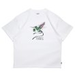 画像1: EXPRESS Tee White (1)