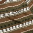 画像4:  French Terry Striped Tee Brown (4)