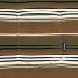 画像5:  French Terry Striped Tee Brown (5)