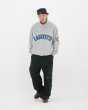 画像8: Arch Logo Halfzip Sweatshirt Gray (8)