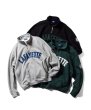 画像7: Arch Logo Halfzip Sweatshirt Green (7)