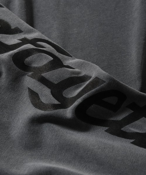 画像4: Sleeve Logo Washed L/S Tee Gray (4)